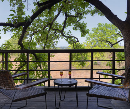 Treehouse Hotel in Pench