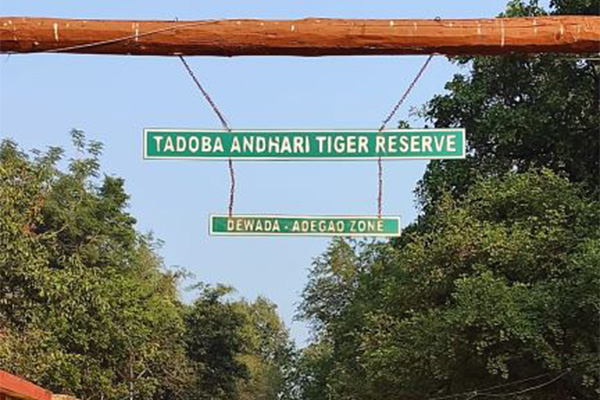 Best Entry Gates For Tadoba