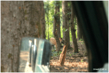 First Sight:Munna walking through dense forest