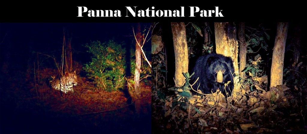 Panna National Park
