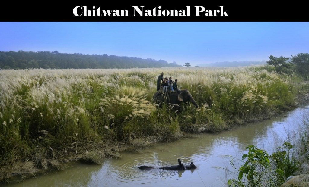 Chitwan National Park