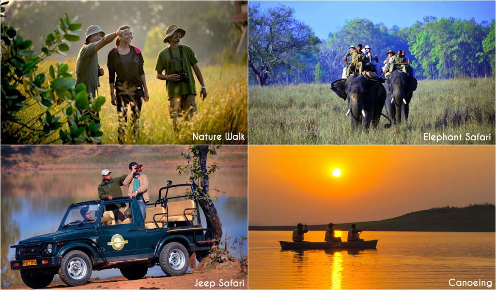 Things to Do in Satpura: A Travel Guide to Satpura National Park