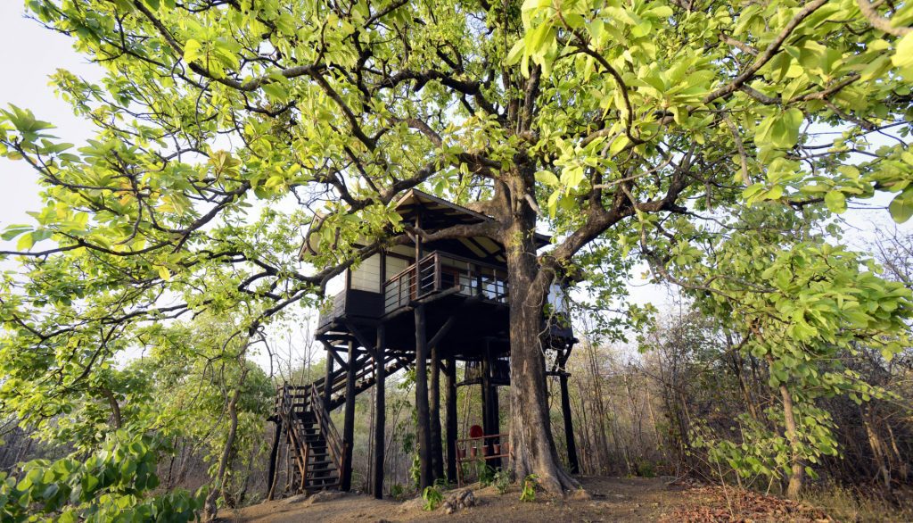 Pench Tree Lodge