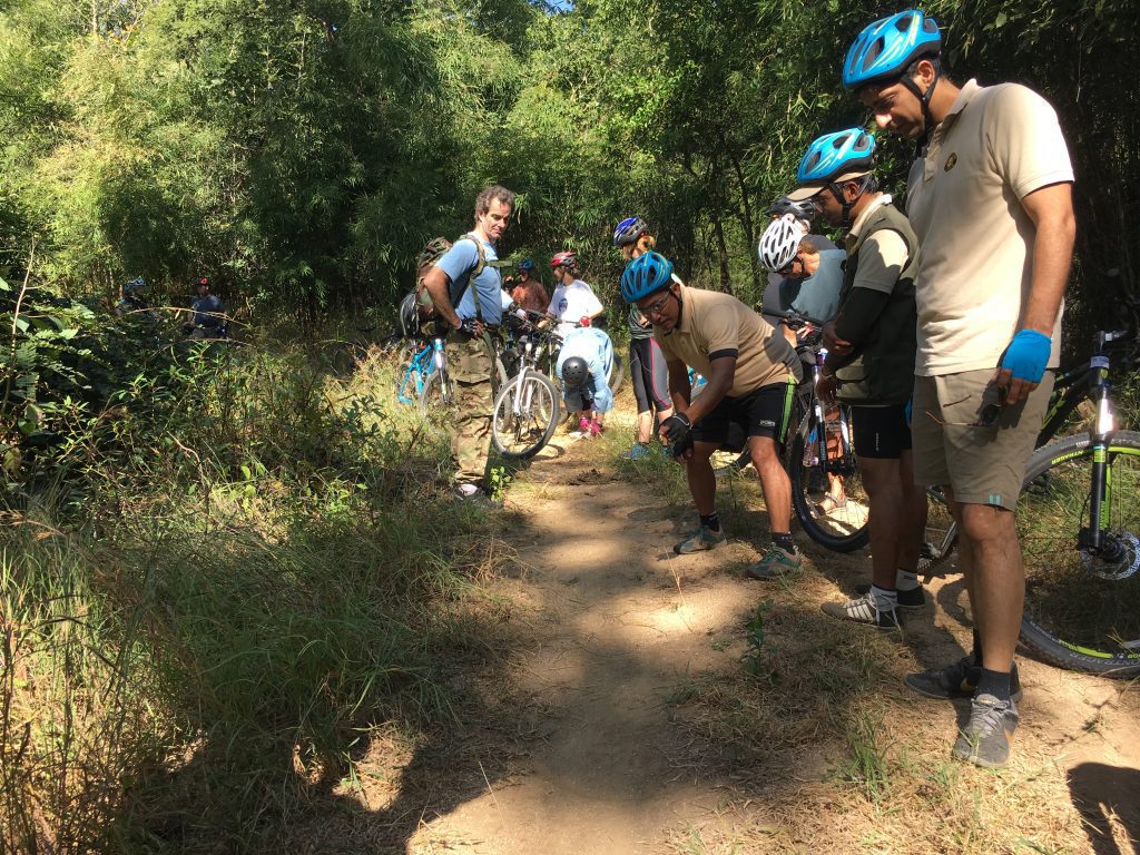 Big cat spoor on trail in Rukad on Day 1