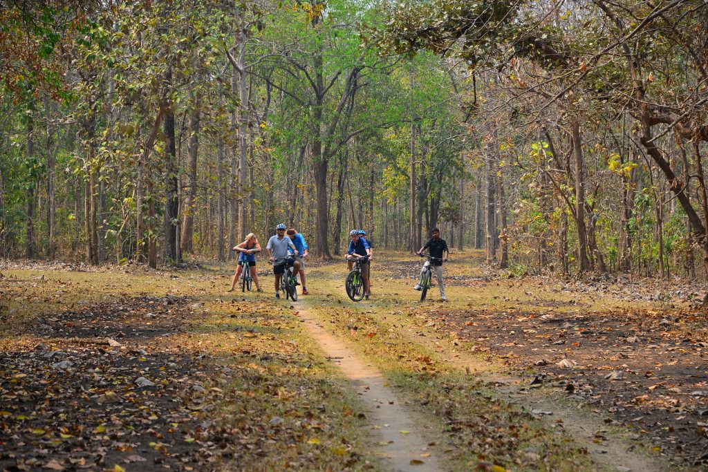 Cycling through the Rukad Forest