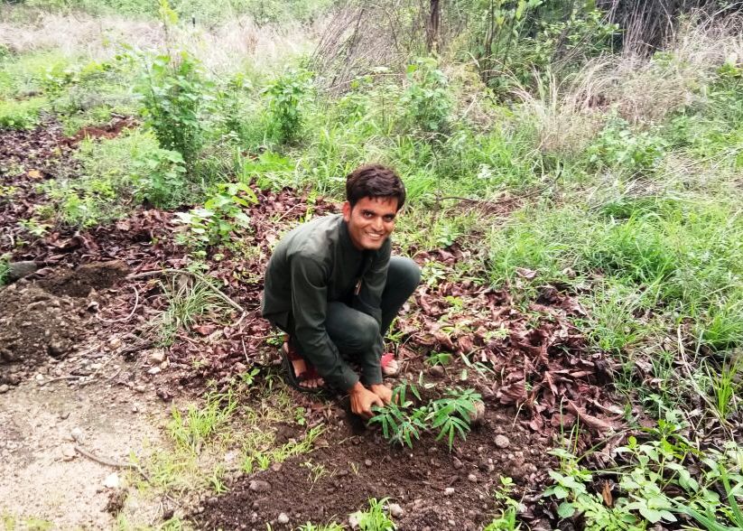 Tree Plantation - Van Mahotsav