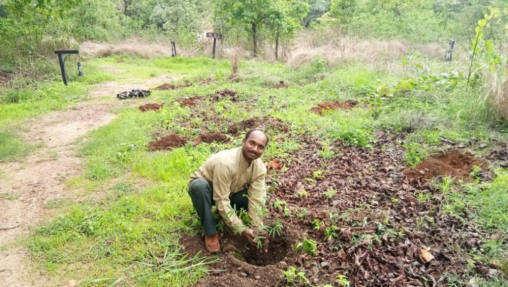 Tree Plantation - Van Mahotsav