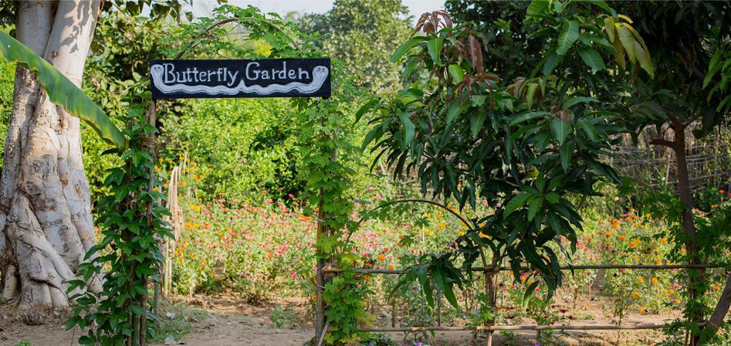 Butterfly Garden at Kings Lodge,