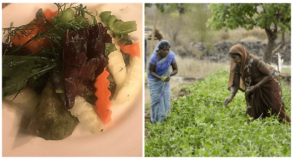 Farm to Table experience