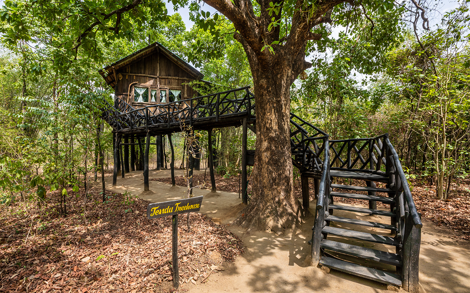 Tree House Resort in Bandhavgarh National Park | Tree Houses