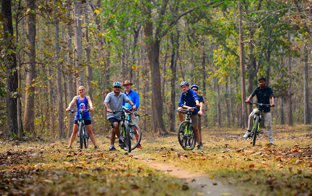 Pench Kanha Cycling Tour