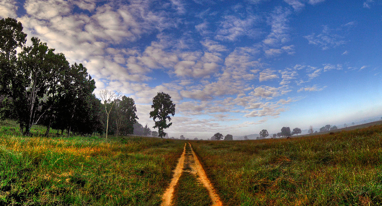 Wildlife tour in Kanha