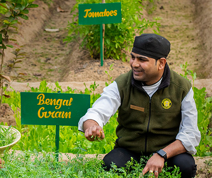 Organic Food in Bandhavgarh