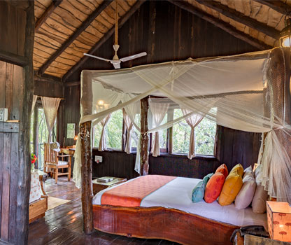 Treehouse in Bandhavgarh