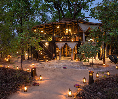 Treehouse Hideaway in Bandhavgarh