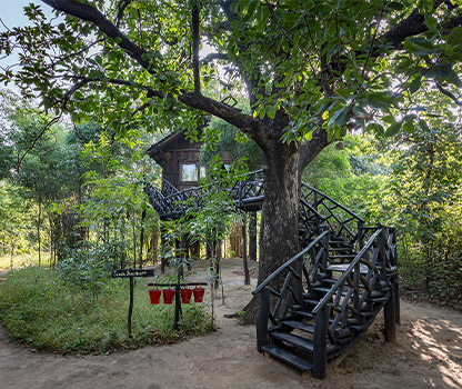 Luxury Resort in Bandhavgarh