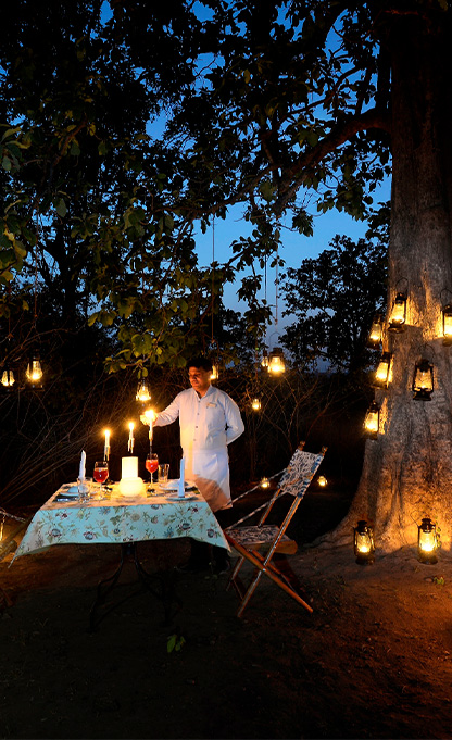 Special Experiences in Bandhavgarh