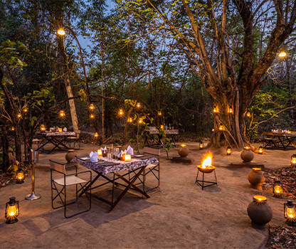 Fine Dining in Bandhavgarh