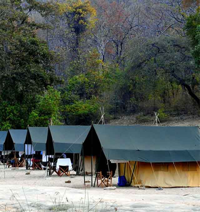 Walking Safari & Mobile Camping