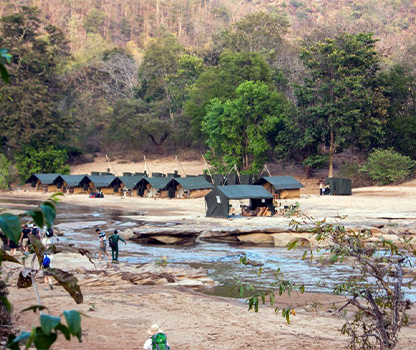 walking & trekking in satpura national park