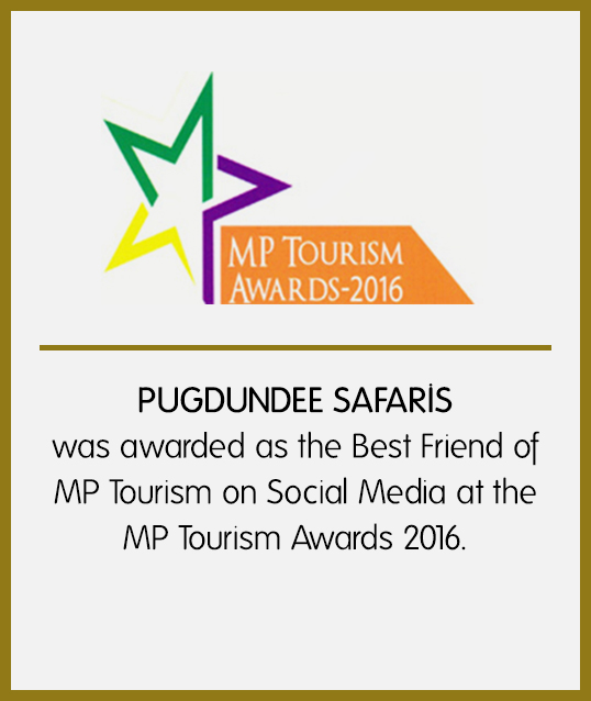 Pugdundee Safaris Awards