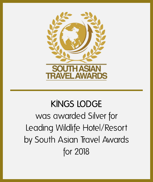 Pugdundee Safaris Awards