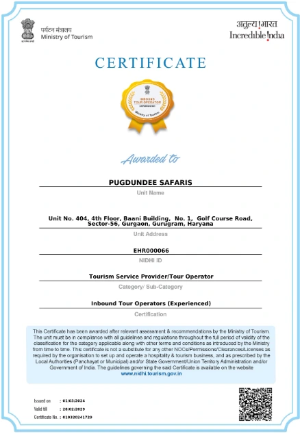 Awards in Pugdundee