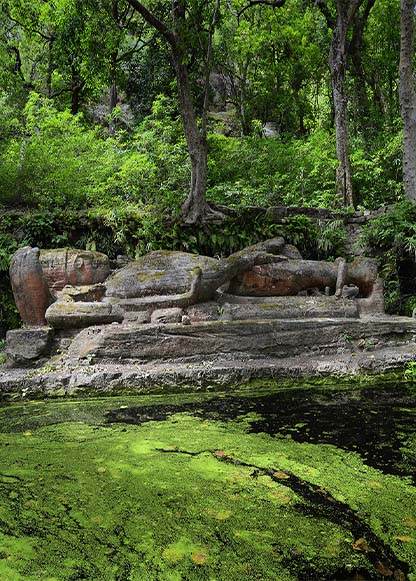 Shesh Shaiya in Bandhavgarh