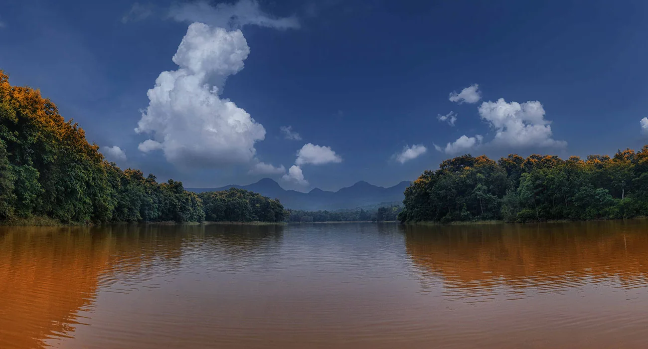 wildlife in satpura tiger reserve