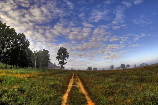 Best Zones in Kanha