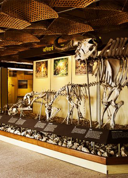 How to visit Kanha Museum