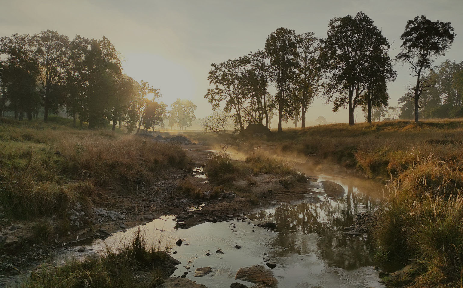 Kanha National Park