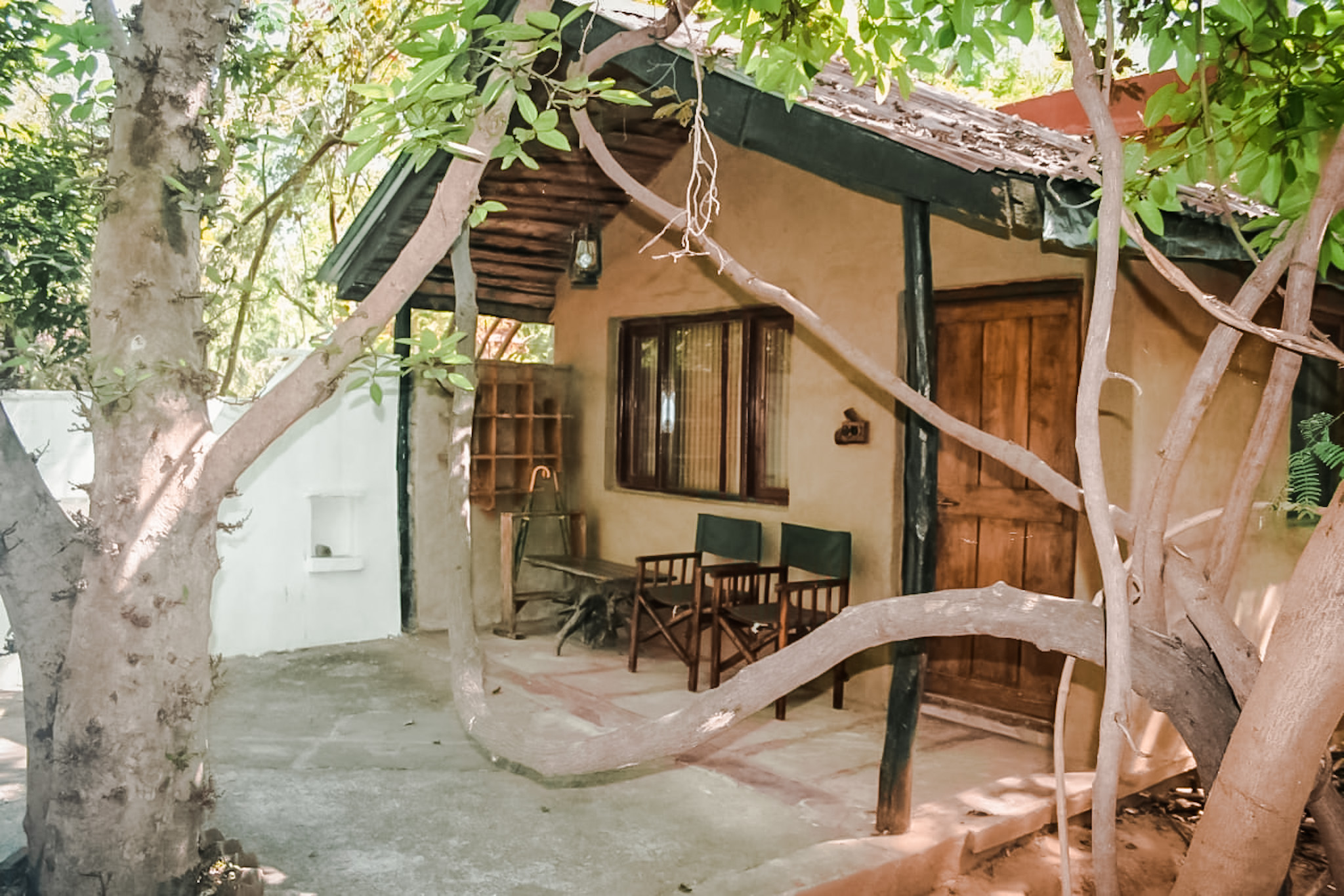 Wildlife Lodge in Panna