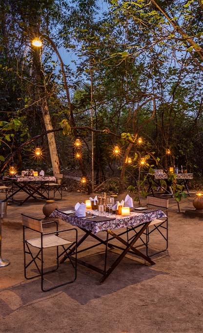 Special Experiences in Bandhavgarh