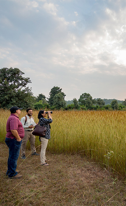 Nature Walk in Bandhavgarh