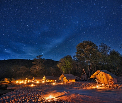 night camping