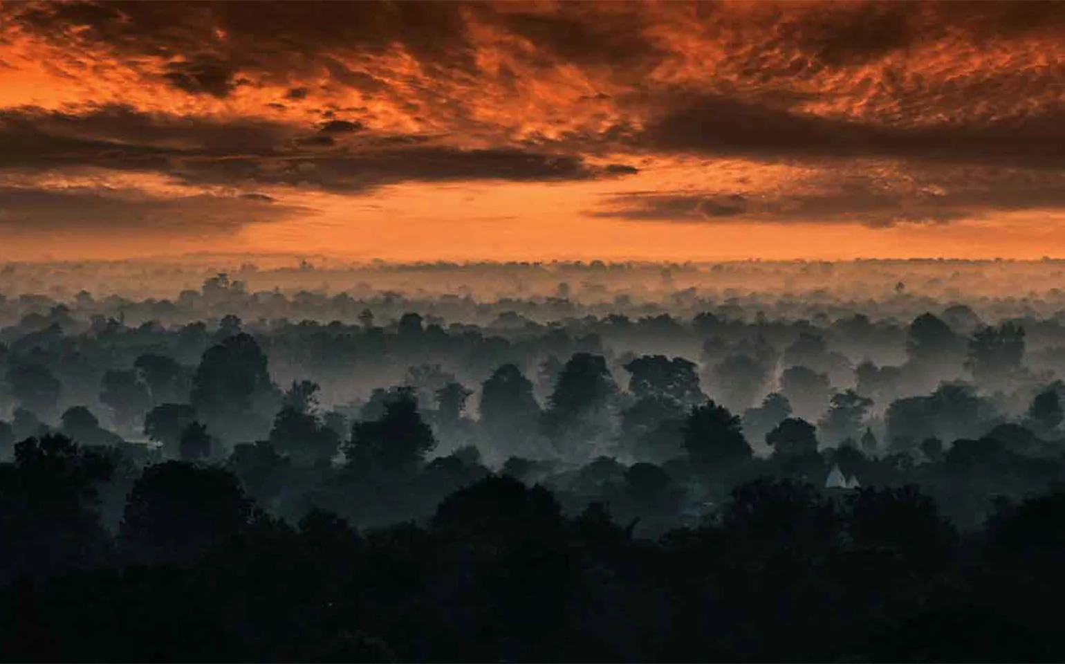 wildlife in pench national park