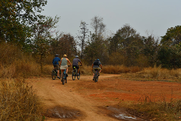 6 Top Things To Do In Pench