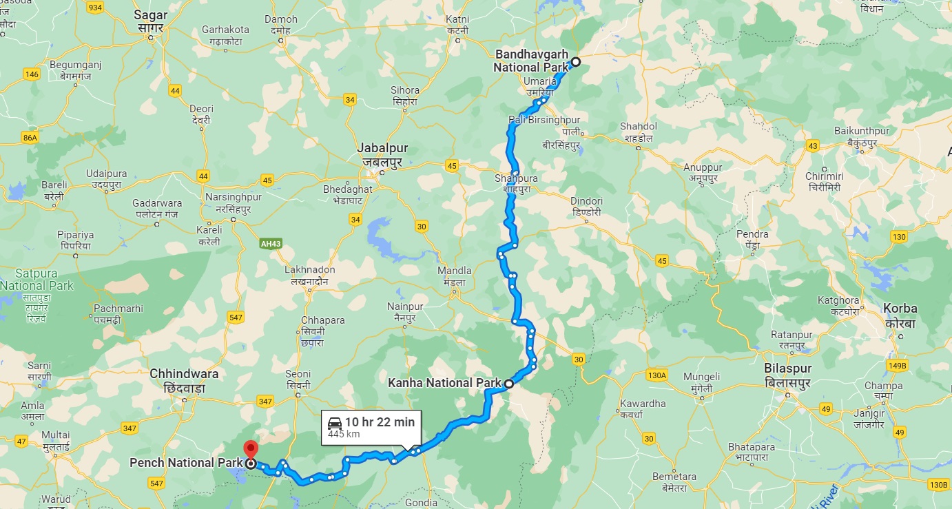 Tiger Tour in India Circuit