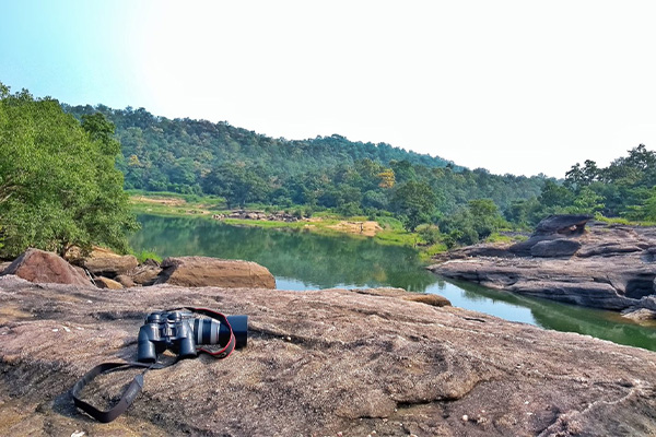 Best Zones in Satpura