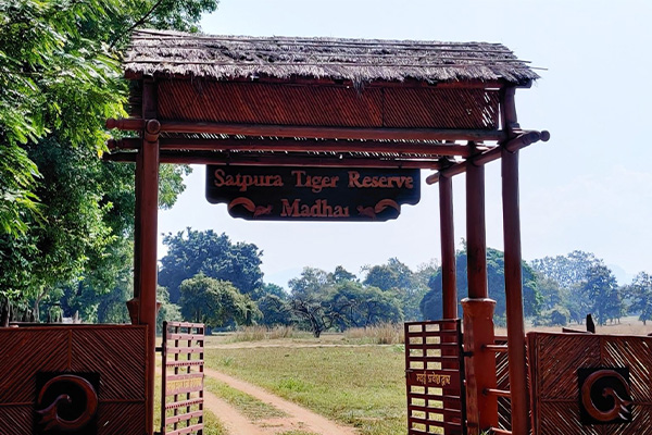 Madhai National Park