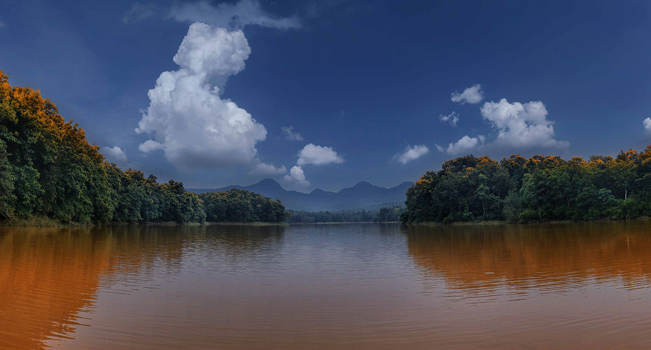 Wildlife in Satpura National Park