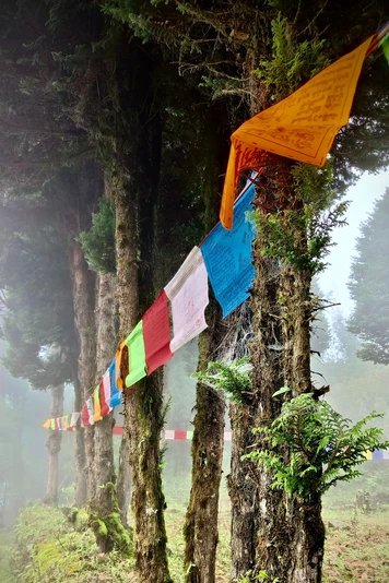 Activities in Singalila National Park