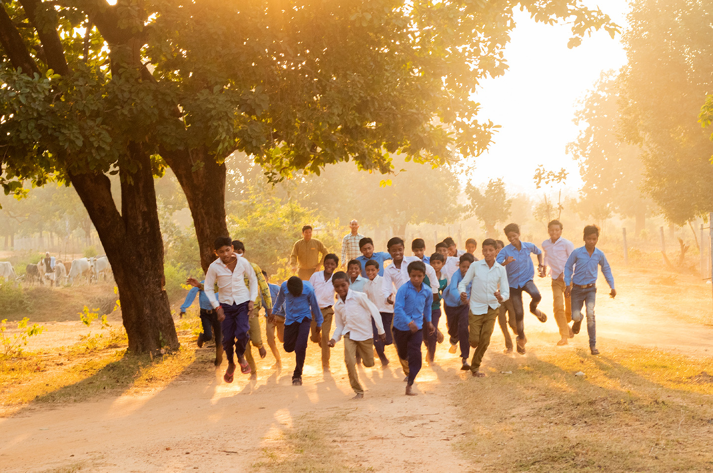 ESG operated Wildlife Lodge in India