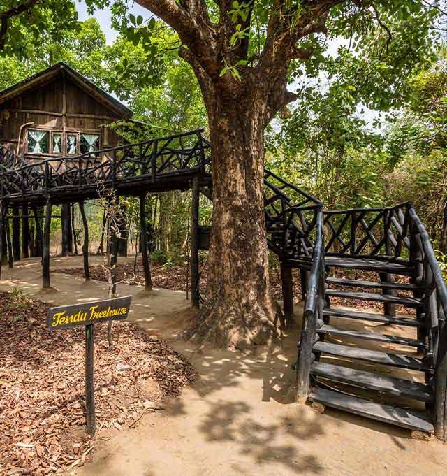 Treehouse Resort in Bandhavgarh
