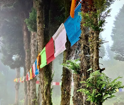 view with flags