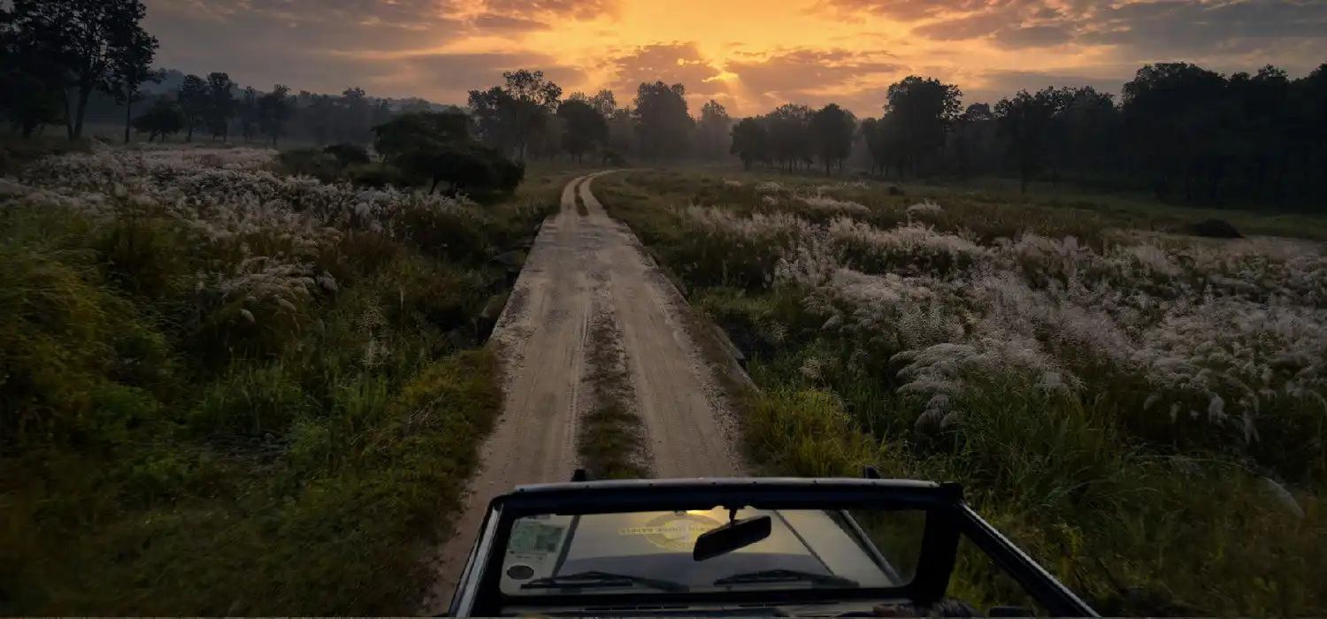 Things To Do In Kanha