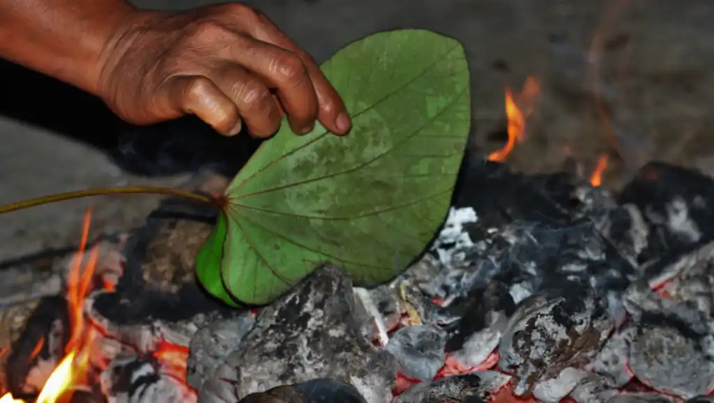 burning leaf