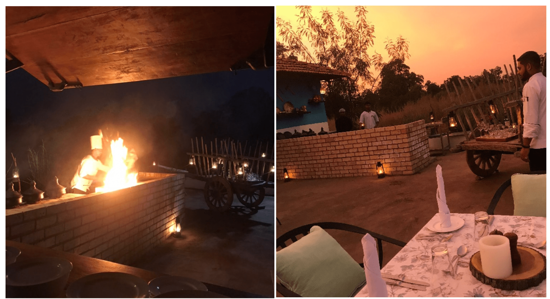 Unique Food Experiences in Pench – Farm to Table Dining