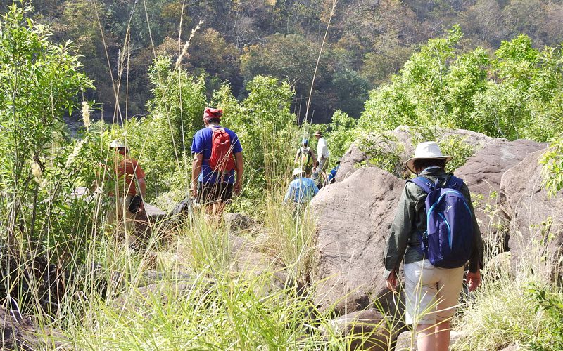 Nature walk in India